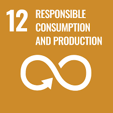 SDG Logo