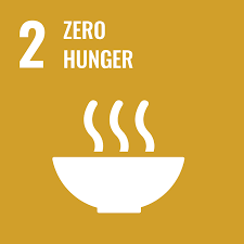 SDG Logo