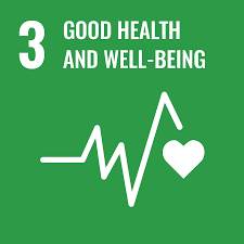 SDG Logo