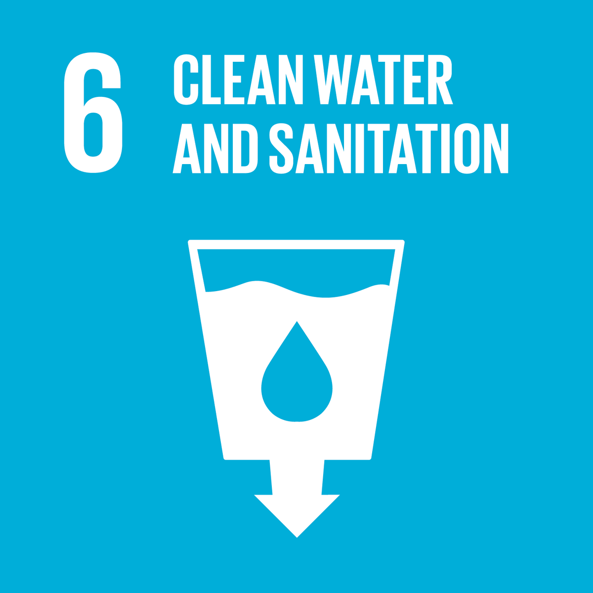 SDG Logo