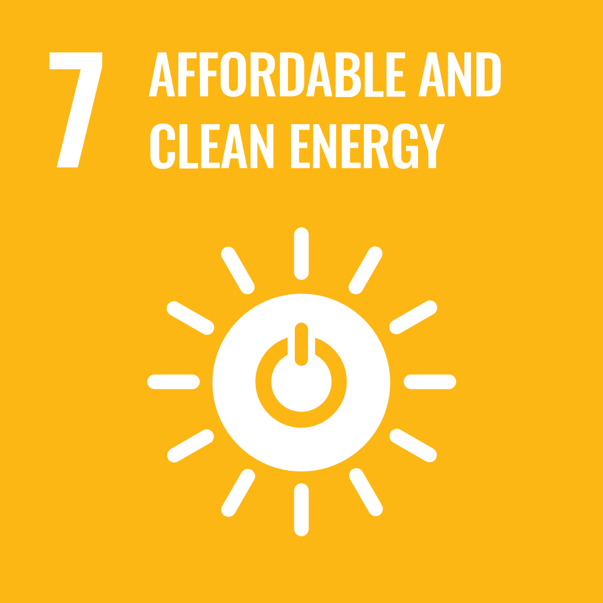 SDG Logo