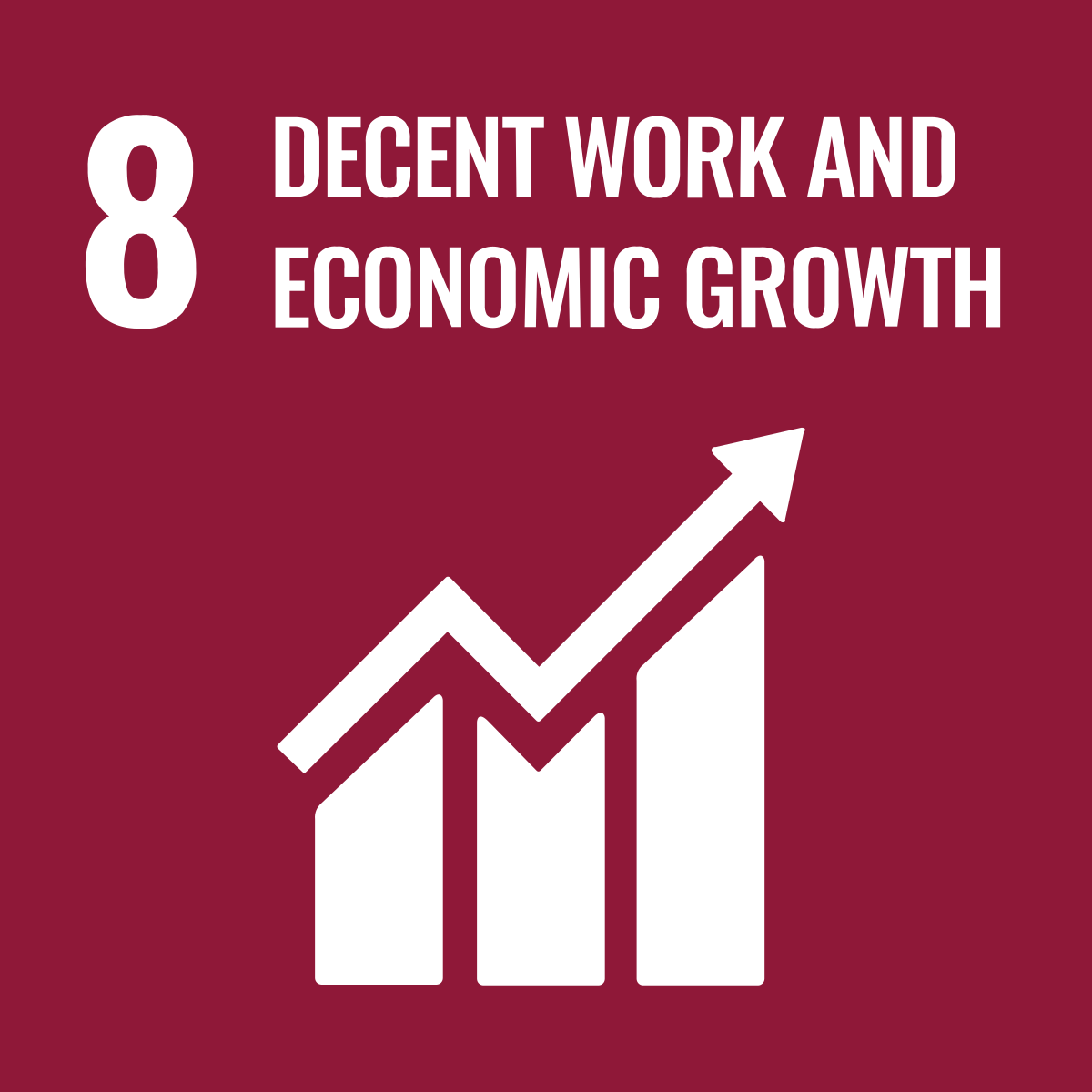 SDG Logo