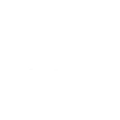 SDG Logo
